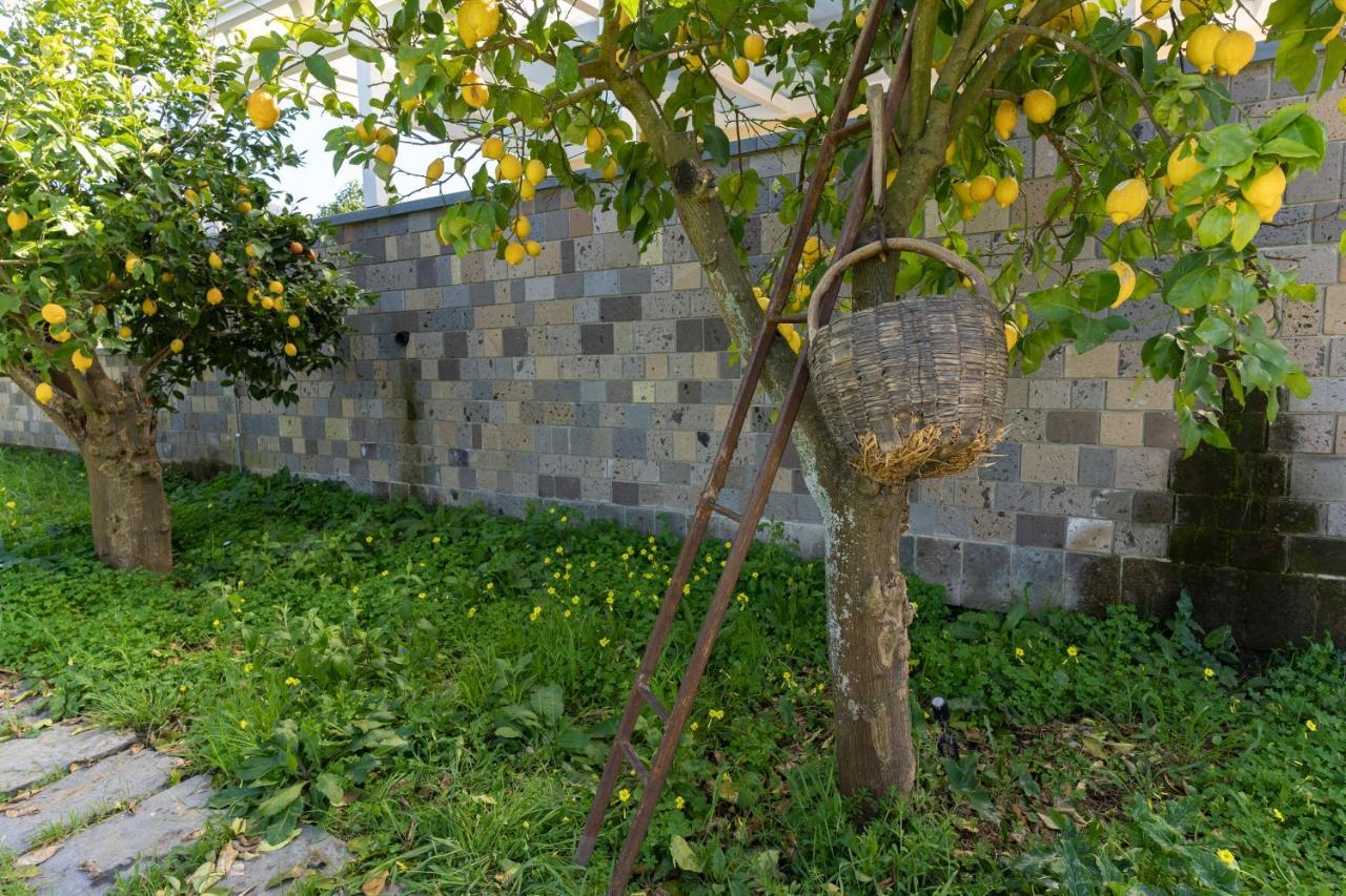 Tenuta Di Leva ปิอาโนดิซอร์เรนโต ภายนอก รูปภาพ