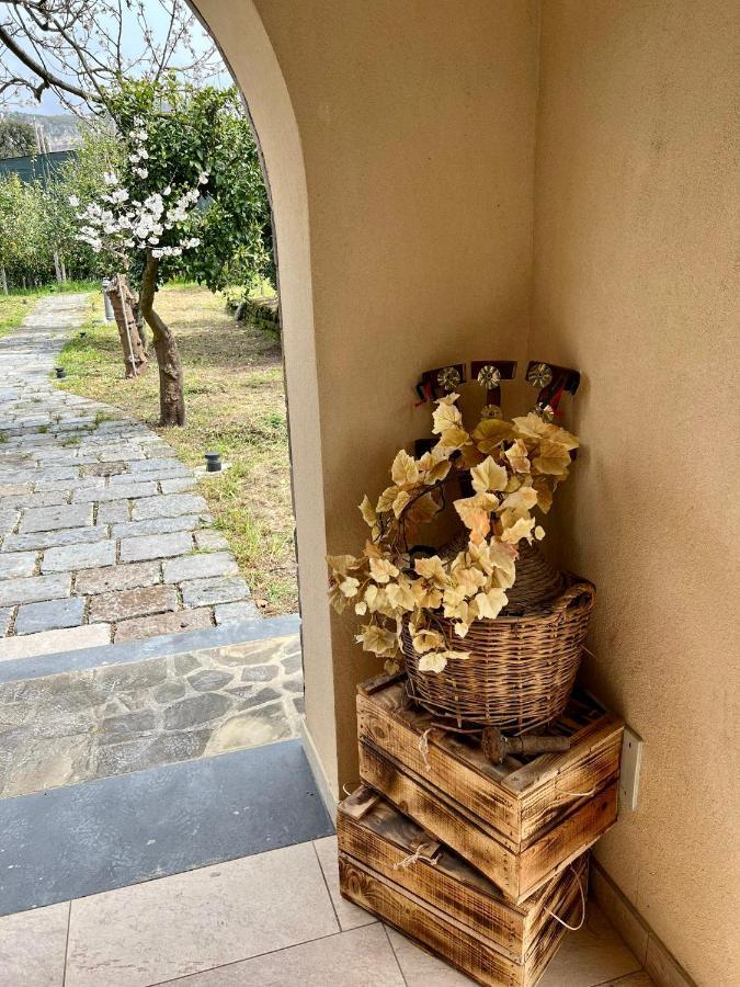 Tenuta Di Leva ปิอาโนดิซอร์เรนโต ภายนอก รูปภาพ